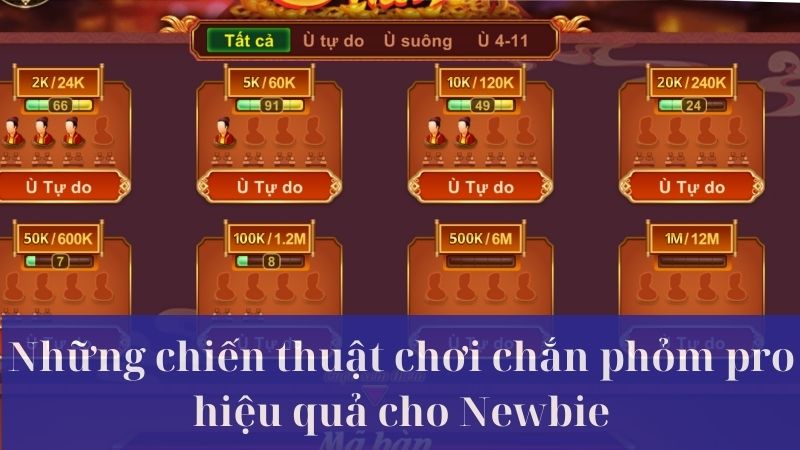 Chắn phỏm pro là gì?