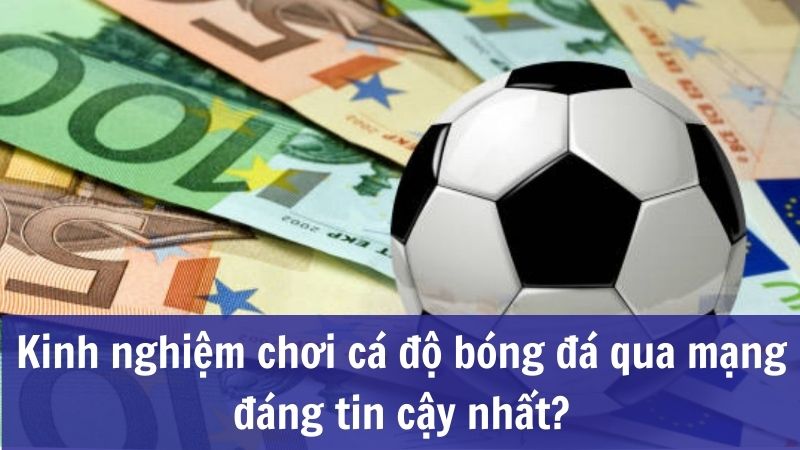 Chơi cá độ bóng đá qua mạng có nghĩa là gì?