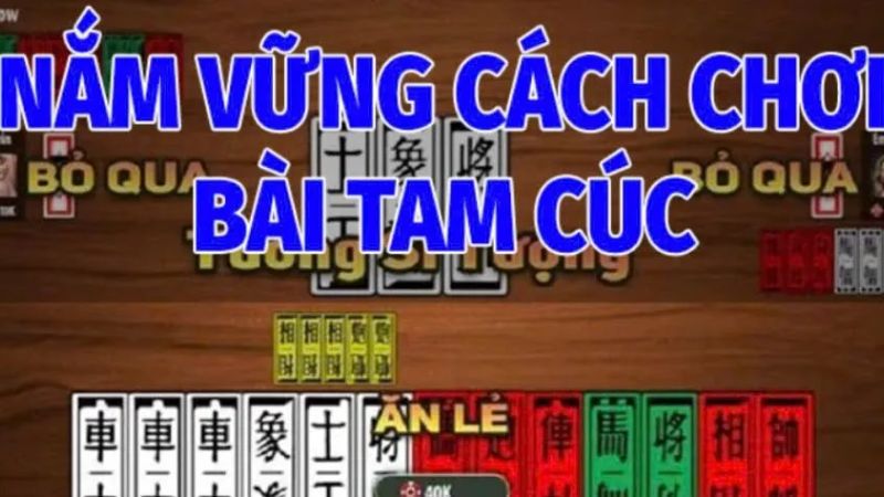 Tìm hiểu tất tần tật về cách chơi tam cúc online