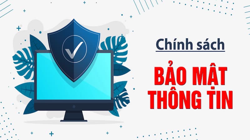 Nội dung chính sách về bình luận thông tin